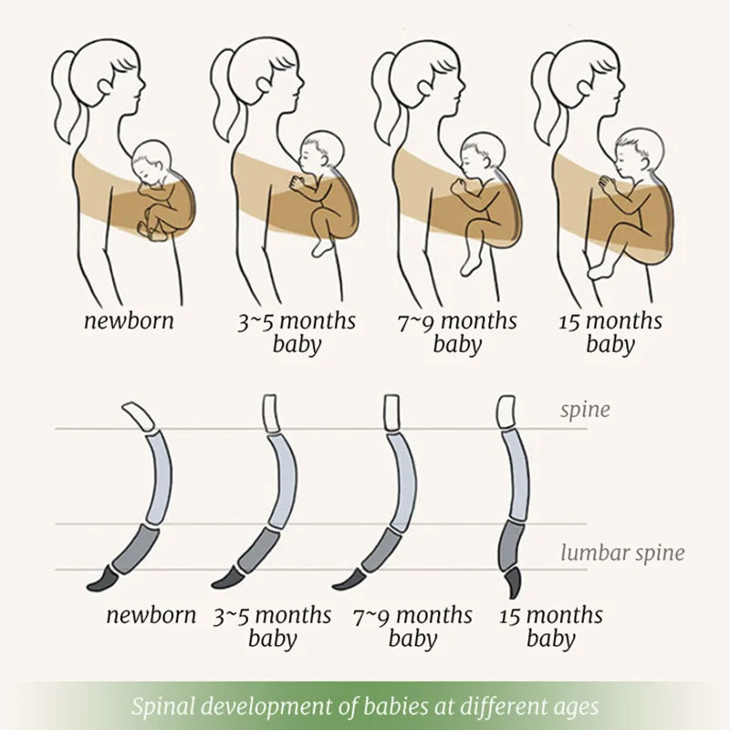 Diagram showing ergonomic baby carrier positions and spinal development from newborn to 15 months.