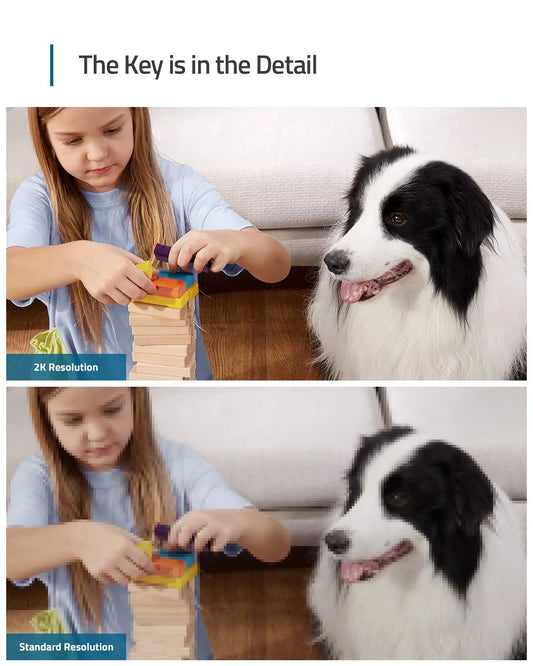 Comparison of 2K resolution vs. standard resolution, showing a child and a border collie.