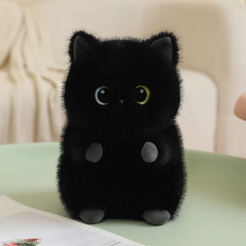 Soft black fluffy cat plush toy with heterochromia eyes (blue and yellow) and small gray paws.