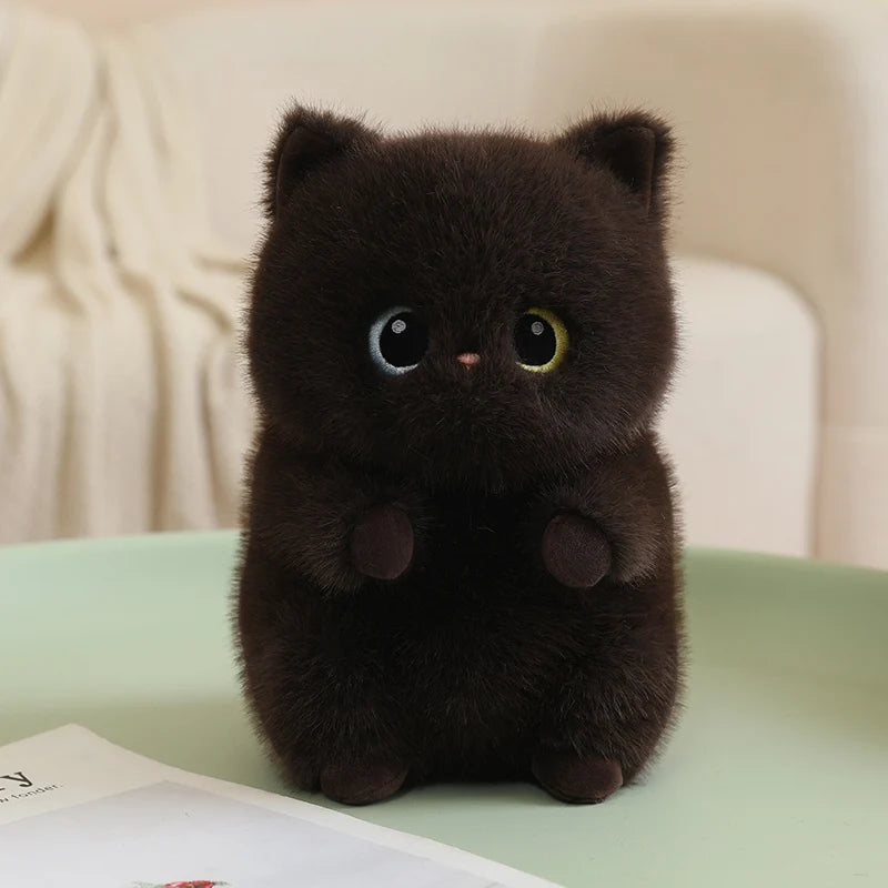 Soft, fluffy dark brown cat plush toy with round body, blue and yellow eyes, and small pink nose.