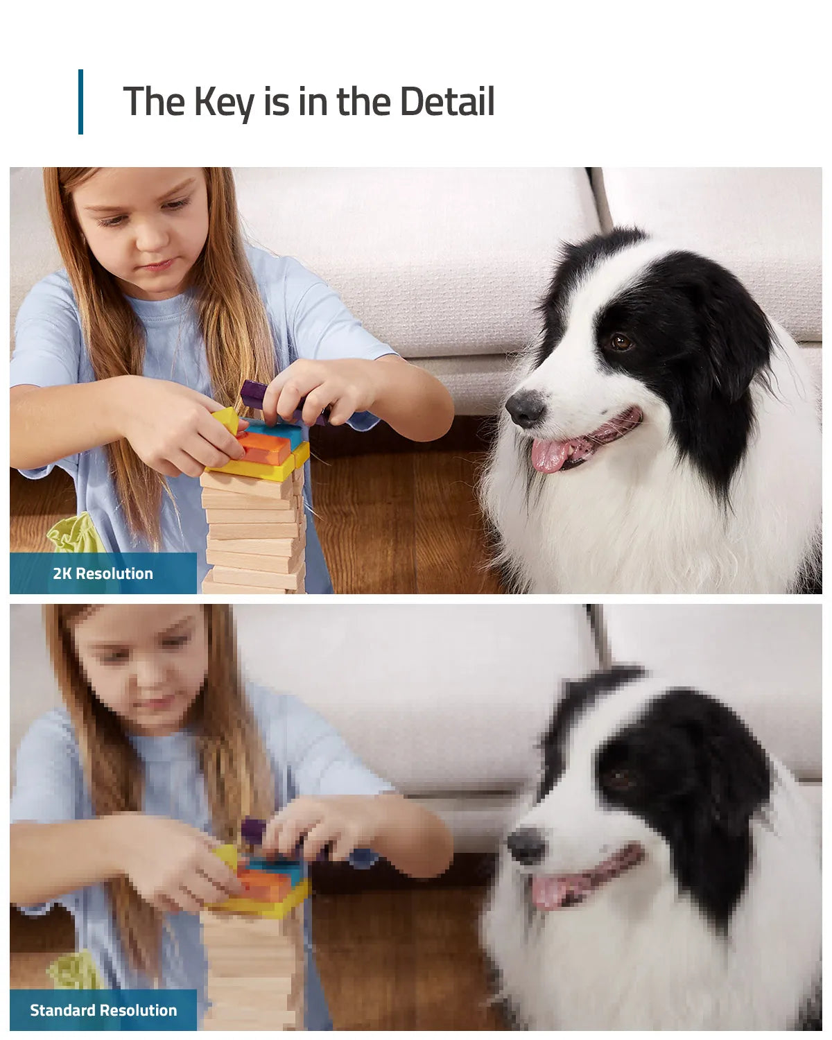 Comparison of 2K resolution vs. standard resolution, showing a child and a border collie.